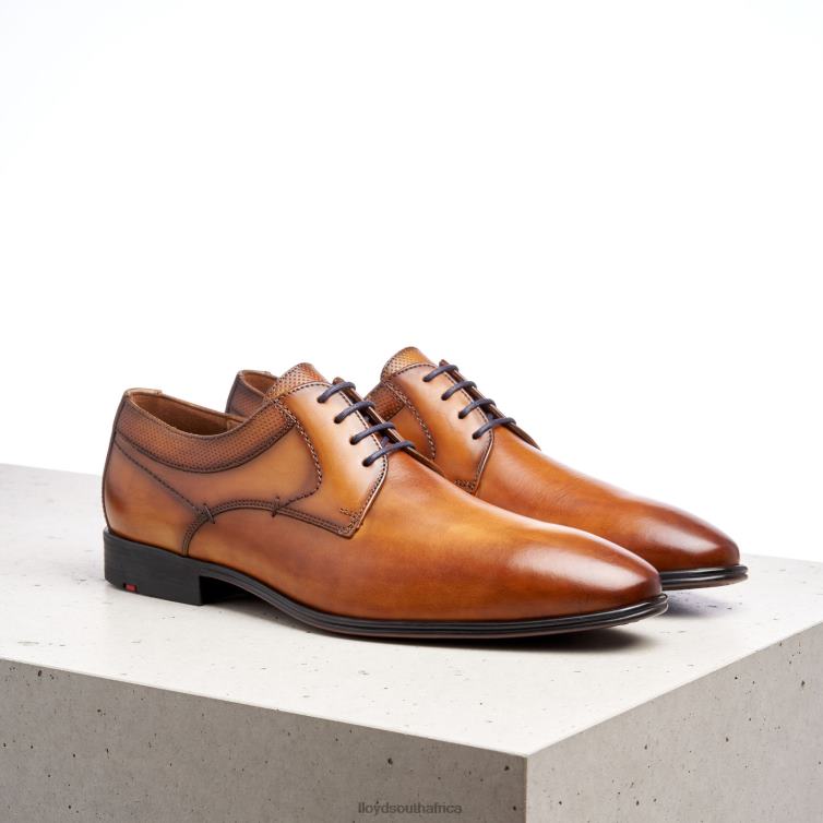 Shoes brown LLOYD MADISON Men 86B4D192