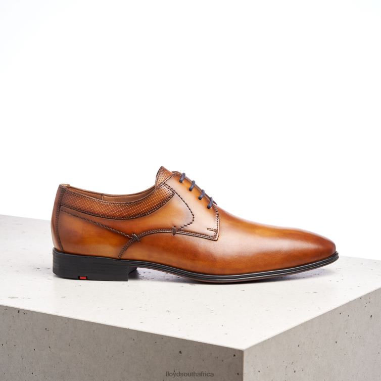 Shoes brown LLOYD MADISON Men 86B4D192