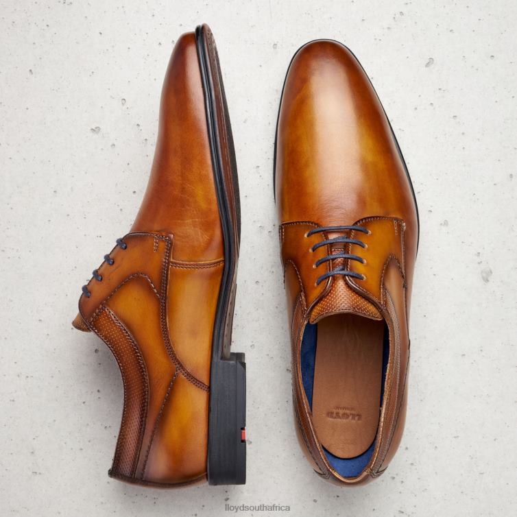 Shoes brown LLOYD MADISON Men 86B4D192