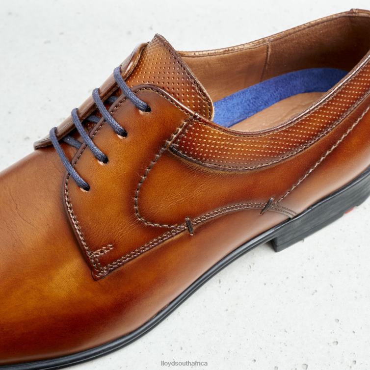 Shoes brown LLOYD MADISON Men 86B4D192