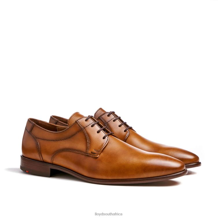 Shoes brown LLOYD MANON Men 86B4D118
