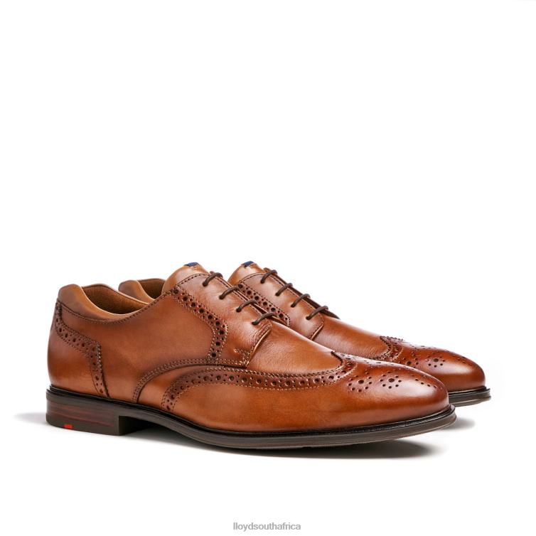 Shoes brown LLOYD MARIAN Men 86B4D141