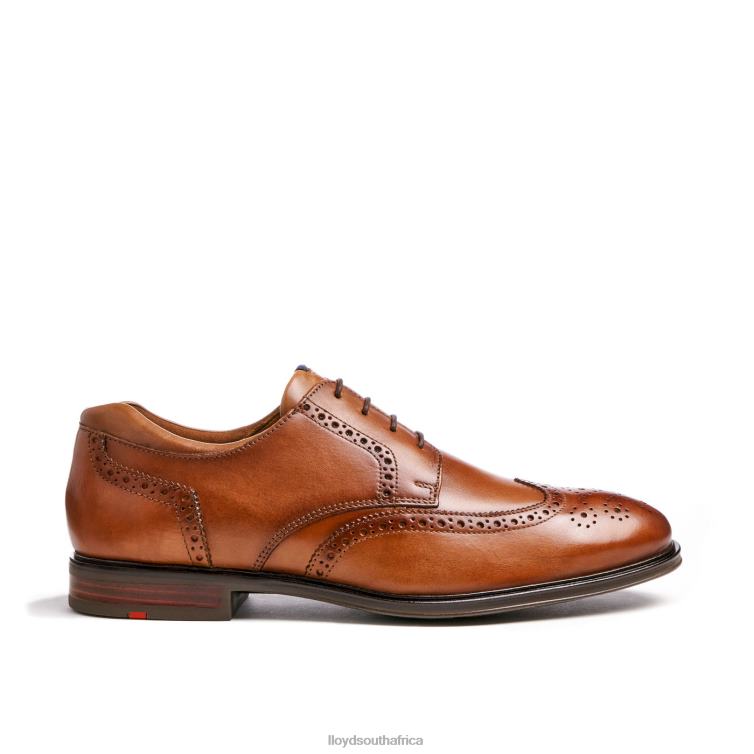 Shoes brown LLOYD MARIAN Men 86B4D141