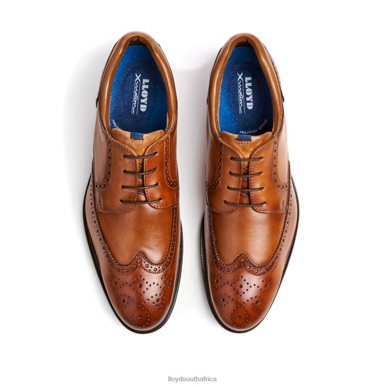 Shoes brown LLOYD MARIAN Men 86B4D141