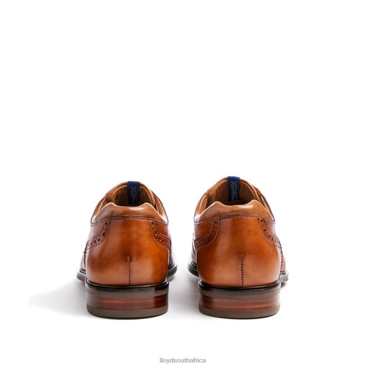 Shoes brown LLOYD MARIAN Men 86B4D141