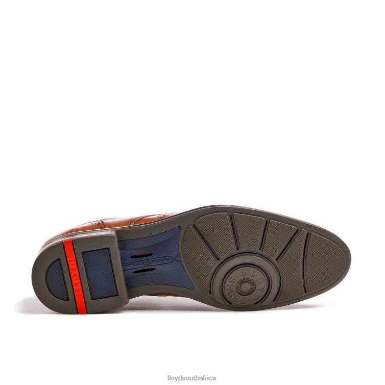 Shoes brown LLOYD MARIAN Men 86B4D141