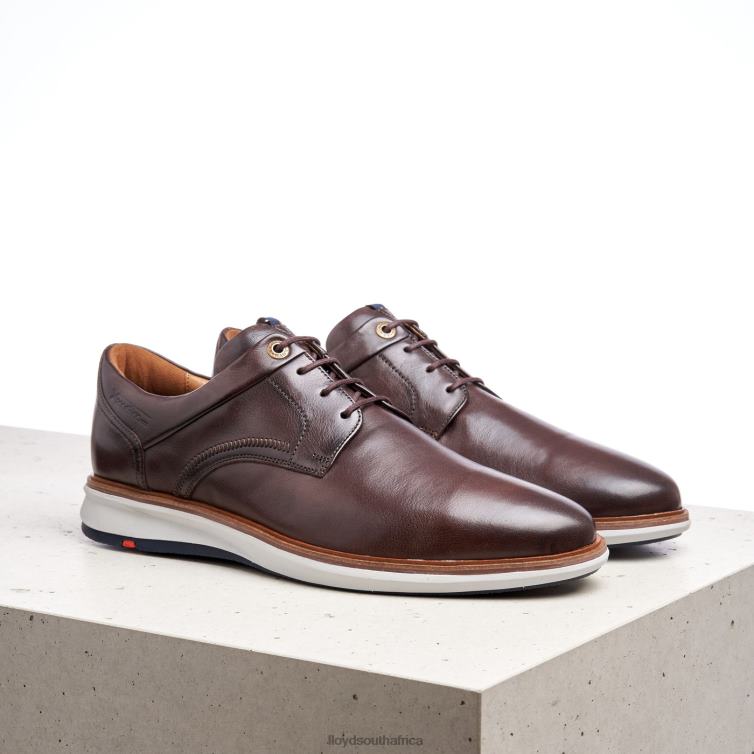 Shoes brown LLOYD MATHEW Men 86B4D242