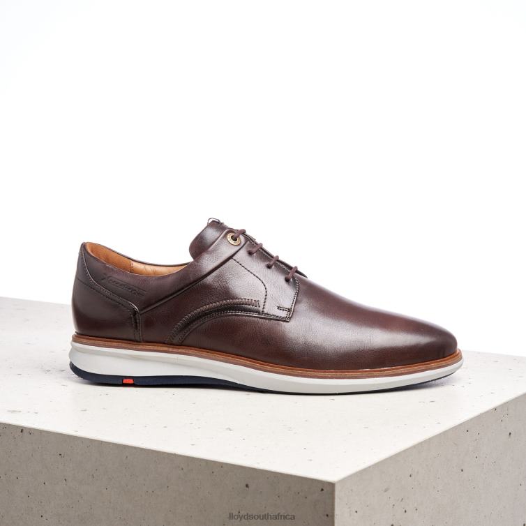 Shoes brown LLOYD MATHEW Men 86B4D242