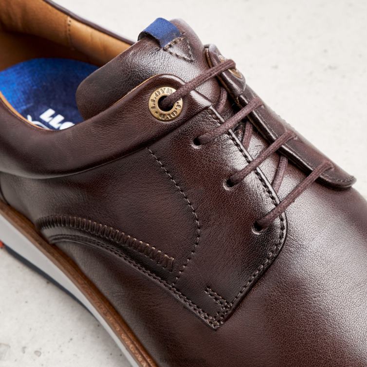 Shoes brown LLOYD MATHEW Men 86B4D242