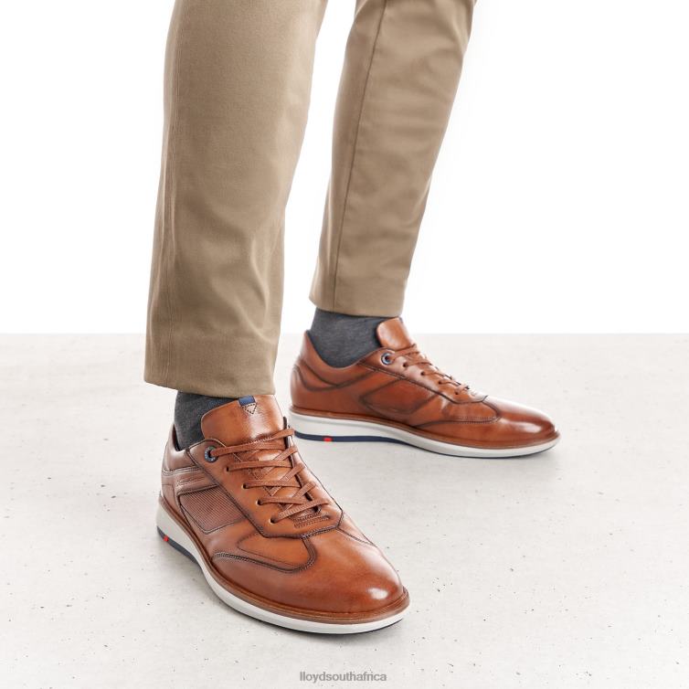 Shoes brown LLOYD MATS Men 86B4D261