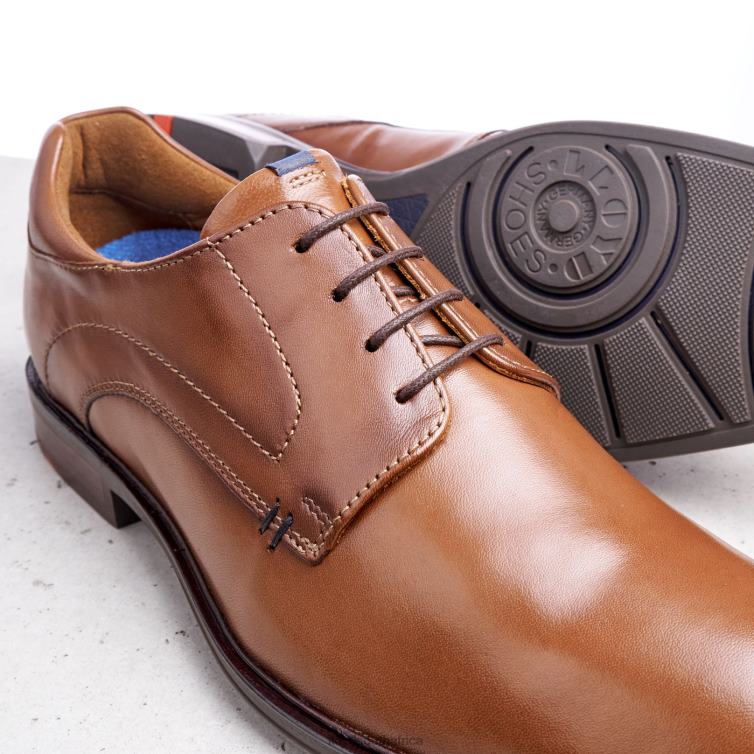 Shoes brown LLOYD MILAN Men 86B4D5