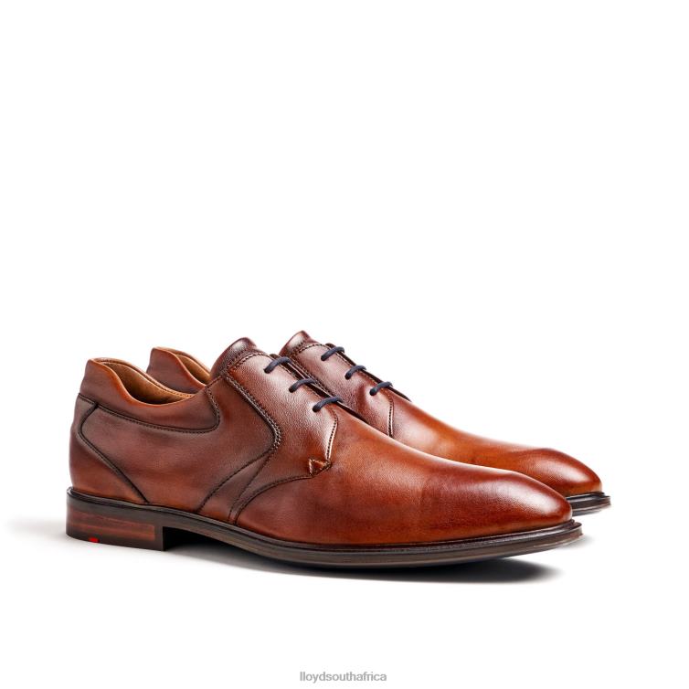 Shoes brown LLOYD MONTY Men 86B4D134
