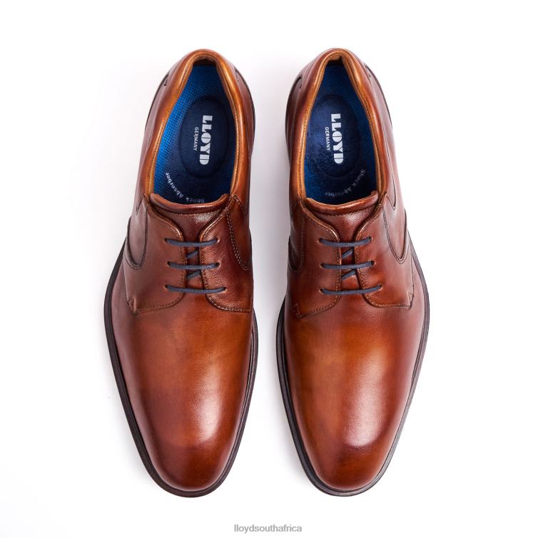 Shoes brown LLOYD MONTY Men 86B4D134