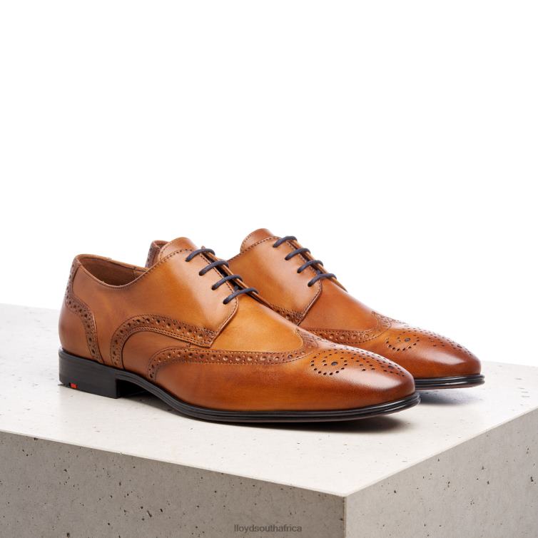 Shoes brown LLOYD MORTON Men 86B4D1321