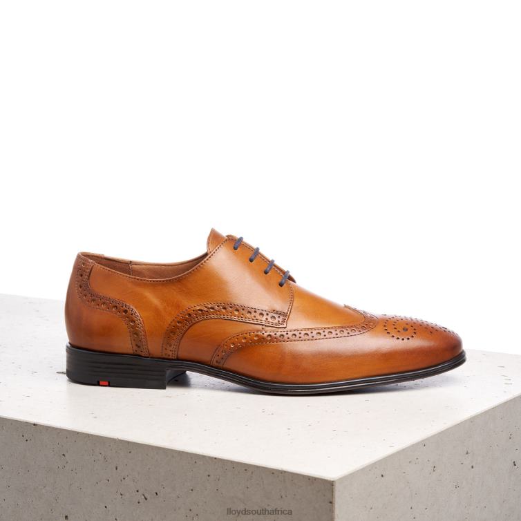 Shoes brown LLOYD MORTON Men 86B4D1321