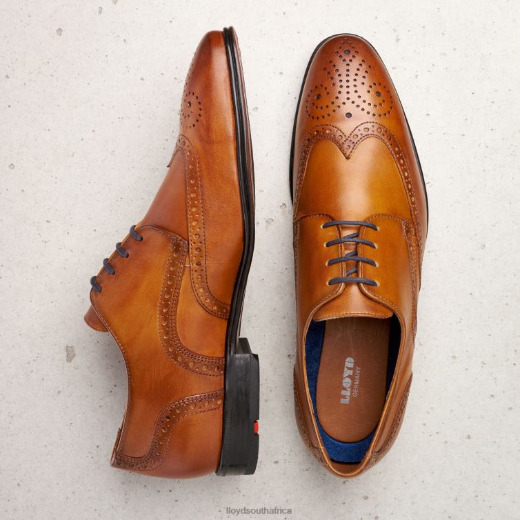Shoes brown LLOYD MORTON Men 86B4D1321
