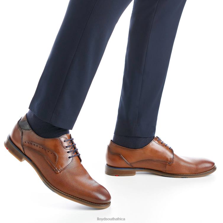 Shoes brown LLOYD NAMIR Men 86B4D217