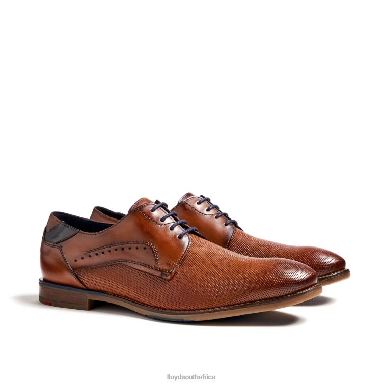 Shoes brown LLOYD NAMIR Men 86B4D217