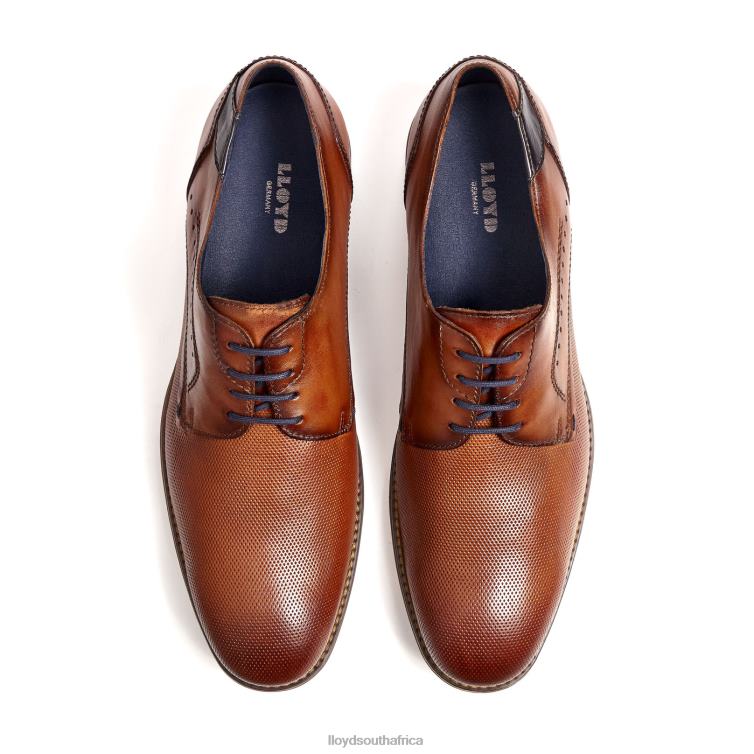 Shoes brown LLOYD NAMIR Men 86B4D217