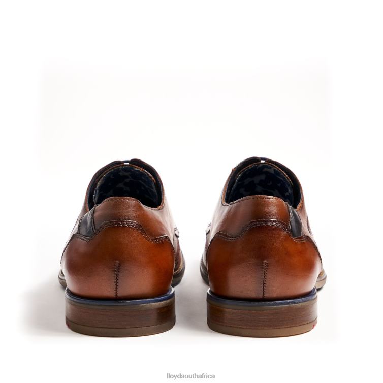 Shoes brown LLOYD NAMIR Men 86B4D217