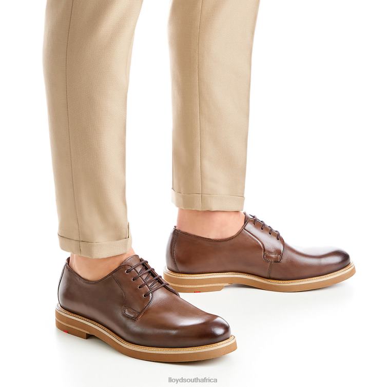 Shoes brown LLOYD OKAL Men 86B4D77