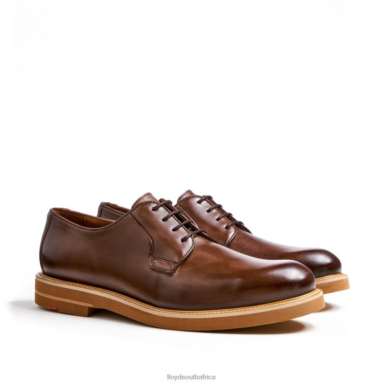 Shoes brown LLOYD OKAL Men 86B4D77