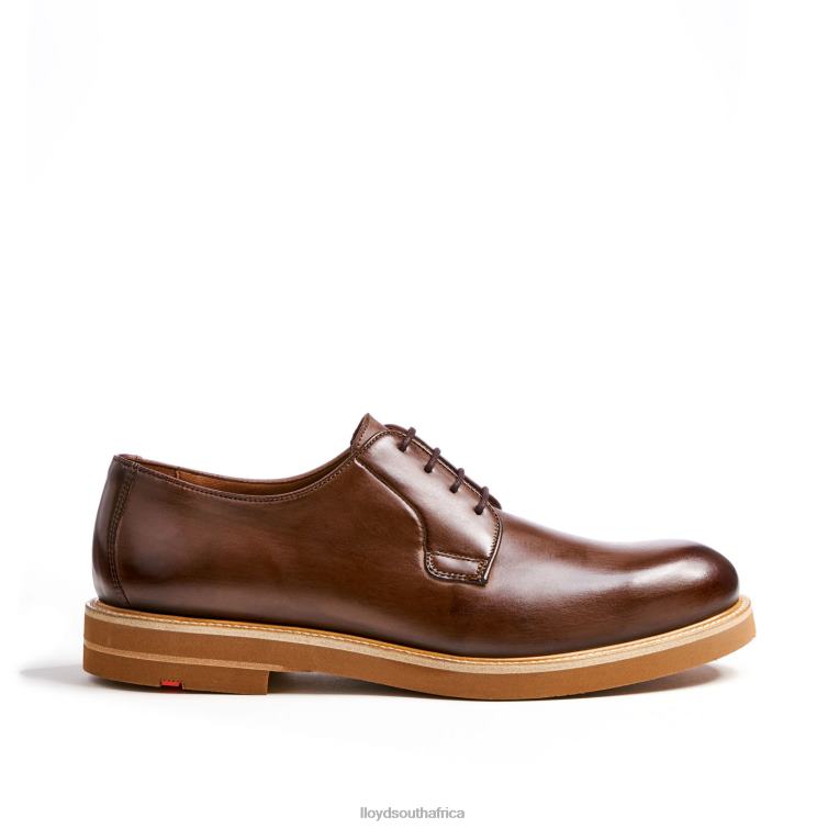 Shoes brown LLOYD OKAL Men 86B4D77