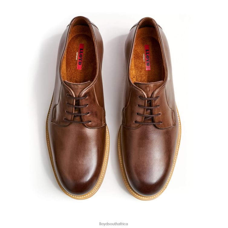 Shoes brown LLOYD OKAL Men 86B4D77