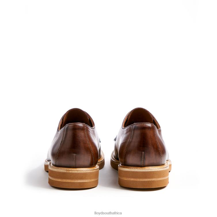 Shoes brown LLOYD OKAL Men 86B4D77