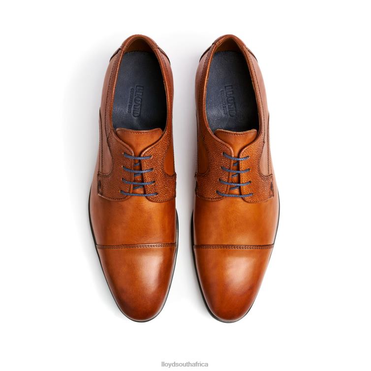 Shoes brown LLOYD ORWIN Men 86B4D95