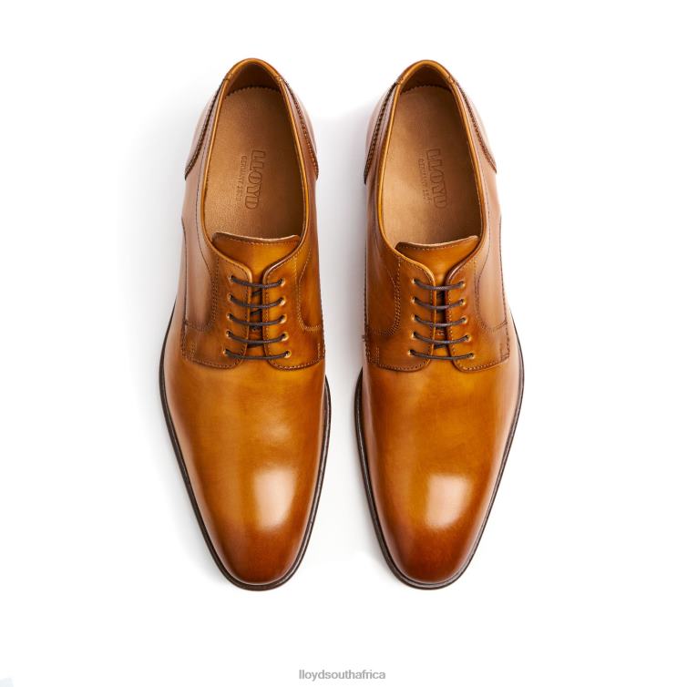 Shoes brown LLOYD PADOS Men 86B4D152