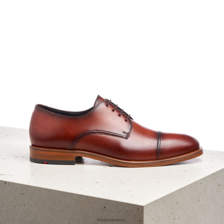 Shoes brown LLOYD RODNEY Men 86B4D195