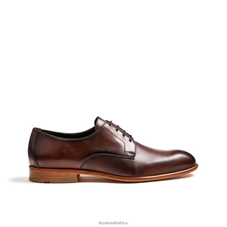 Shoes brown LLOYD SAIGON Men 86B4D115