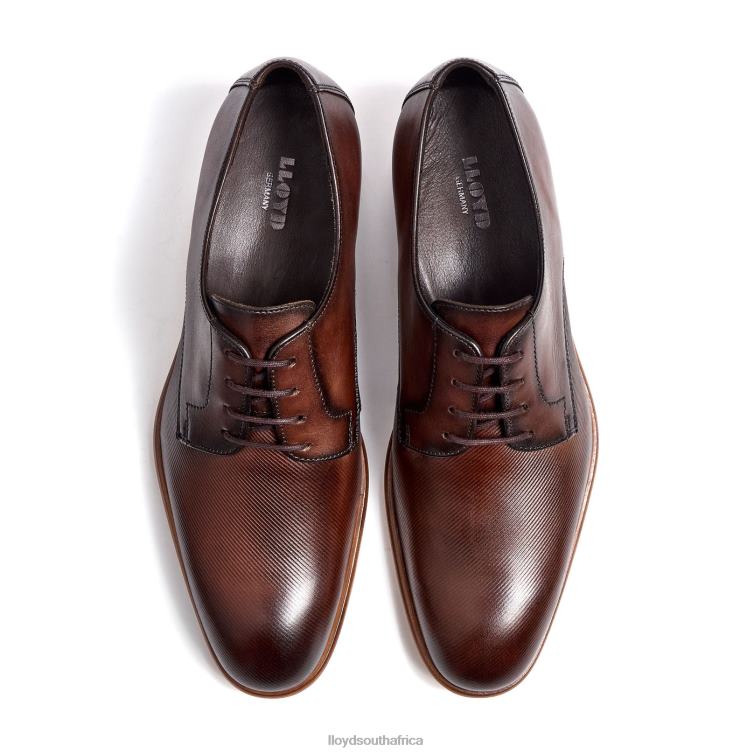 Shoes brown LLOYD SAIGON Men 86B4D115
