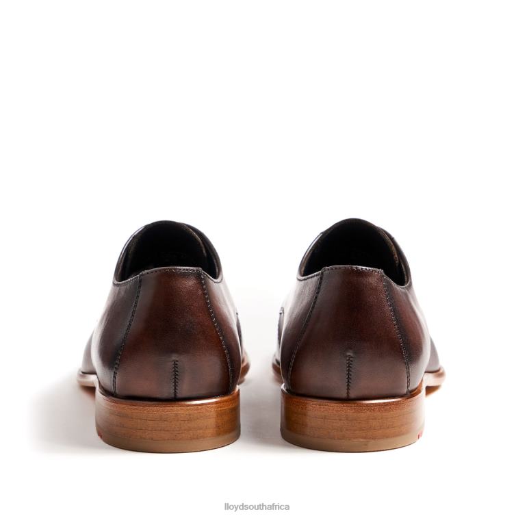 Shoes brown LLOYD SAIGON Men 86B4D115