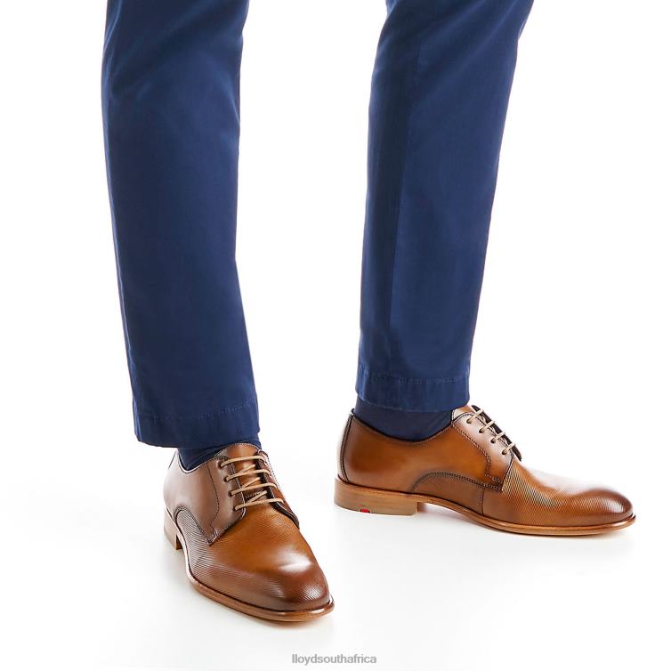 Shoes brown LLOYD SAIGON Men 86B4D158