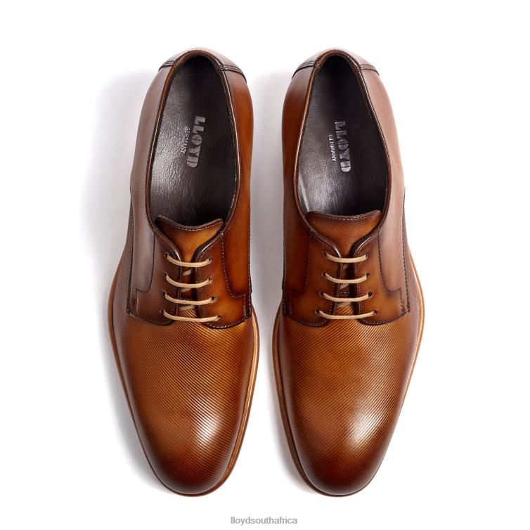 Shoes brown LLOYD SAIGON Men 86B4D158