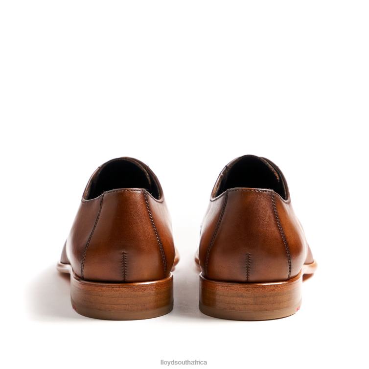 Shoes brown LLOYD SAIGON Men 86B4D158