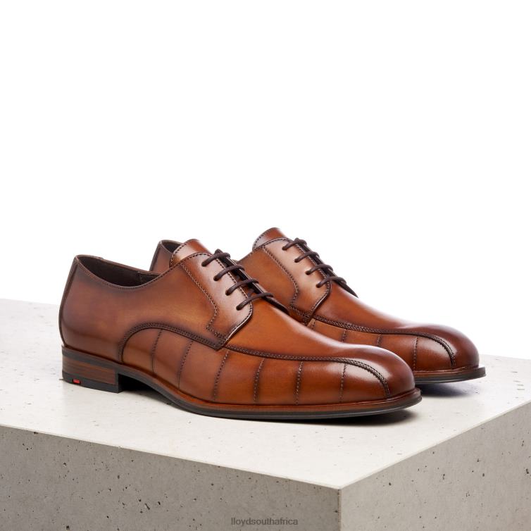 Shoes brown LLOYD SALUTE Men 86B4D224