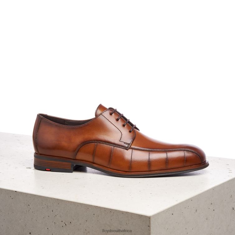 Shoes brown LLOYD SALUTE Men 86B4D224