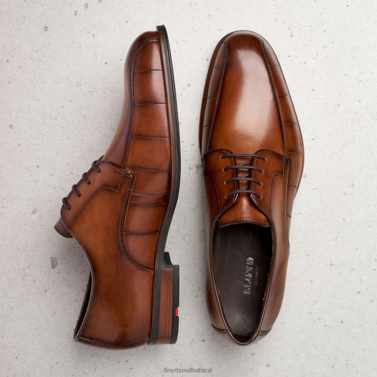 Shoes brown LLOYD SALUTE Men 86B4D224