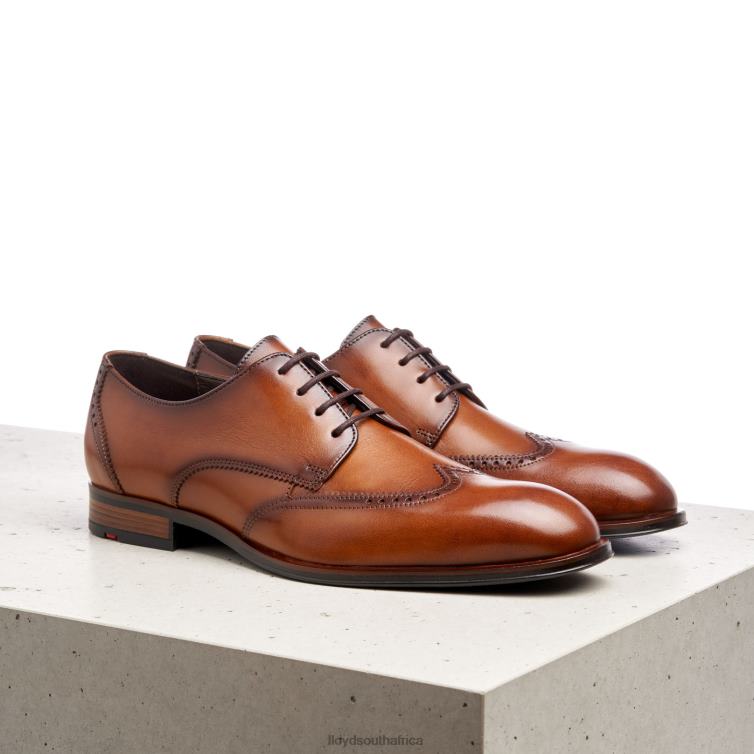 Shoes brown LLOYD SAMSON Men 86B4D235