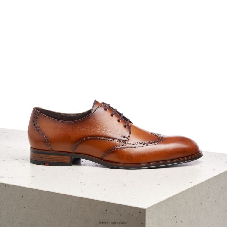 Shoes brown LLOYD SAMSON Men 86B4D235