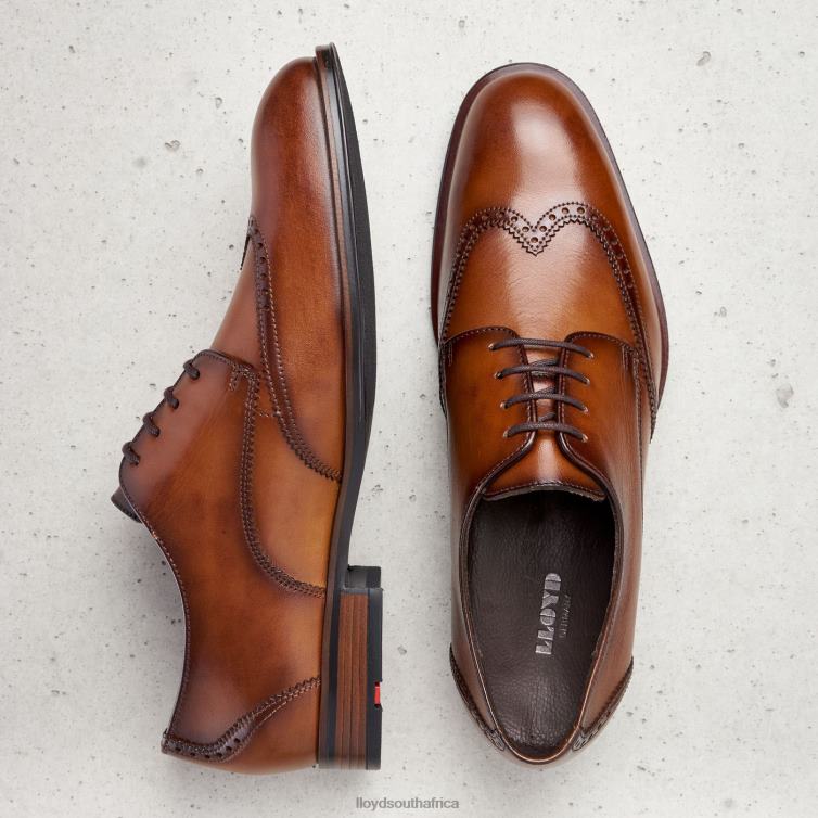 Shoes brown LLOYD SAMSON Men 86B4D235