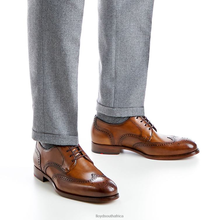 Shoes brown LLOYD SHERIDAN Men 86B4D205