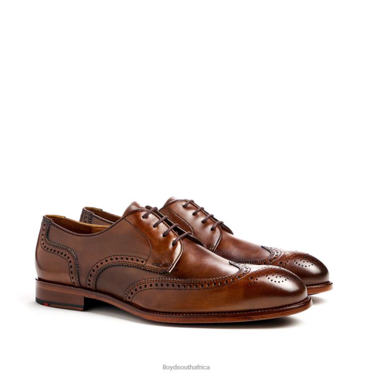 Shoes brown LLOYD STAFFORD Men 86B4D69