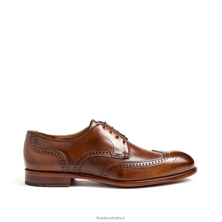 Shoes brown LLOYD STAFFORD Men 86B4D69