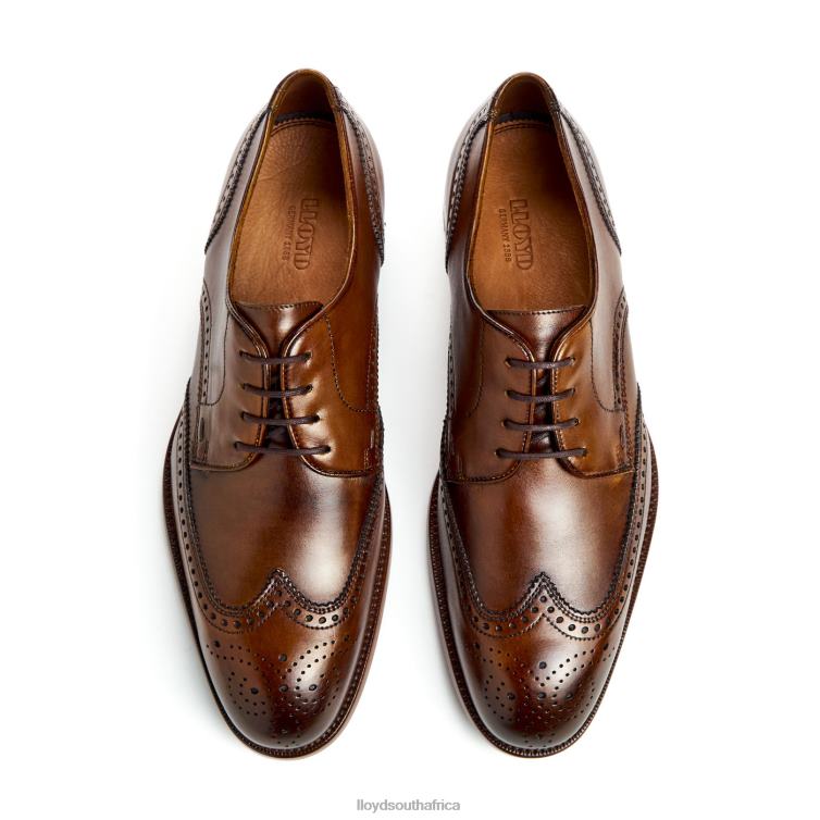Shoes brown LLOYD STAFFORD Men 86B4D69