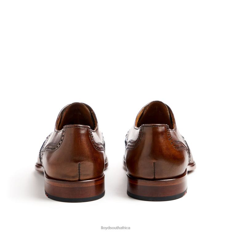 Shoes brown LLOYD STAFFORD Men 86B4D69