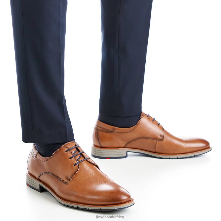 Shoes brown LLOYD TAMBO Men 86B4D23